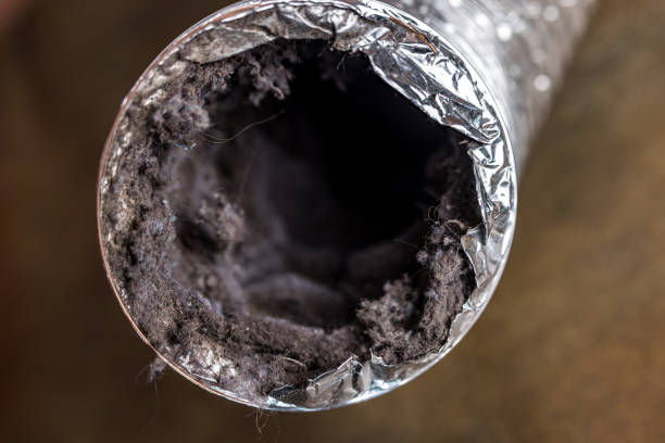 Best Air Duct Cleaning Near Me  in Sangaree, SC